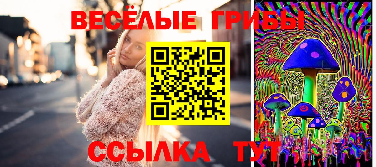 Галлюциногенные грибы Psilocybine cubensis  Вход с VPN  Псилоцибиновые грибы GOLDEN TEACHER  Советск 