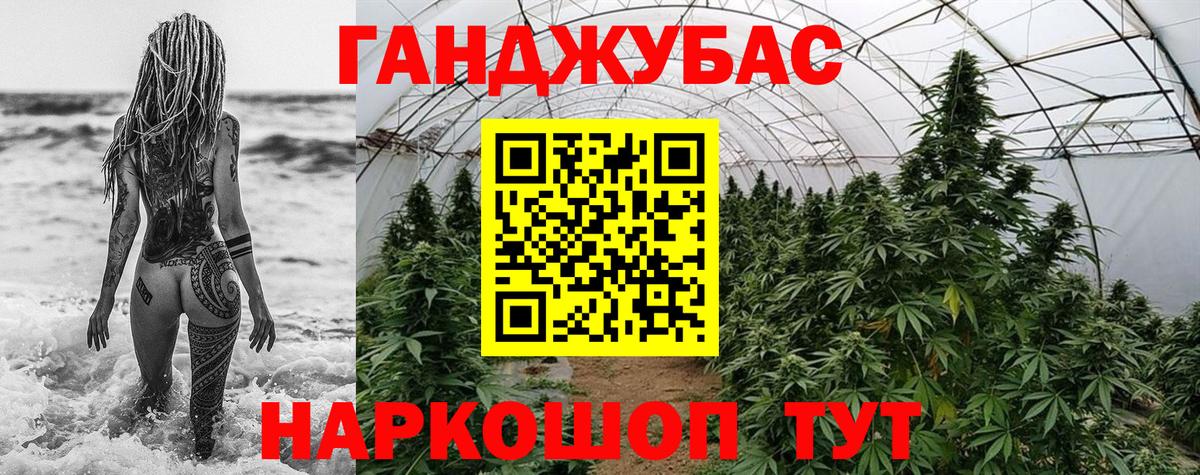Каннабис конопля  Конопля план  Советск  Бошки марихуана ГИДРОПОН  Вход с VPN 